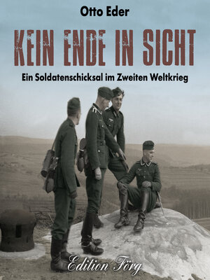 cover image of Kein Ende in Sicht
